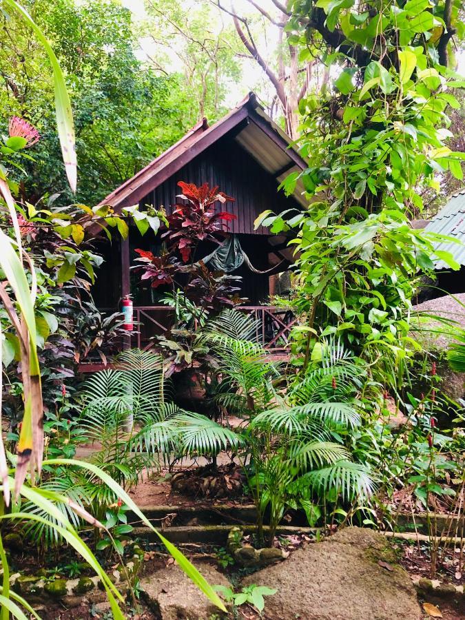 Bambu Huts Hotell Baan Tai Eksteriør bilde