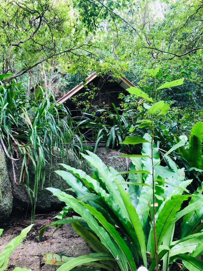 Bambu Huts Hotell Baan Tai Eksteriør bilde